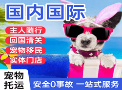 海浪航空空运国际宠物托运 【国